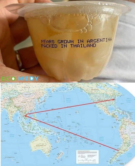 arnEZ36_700b