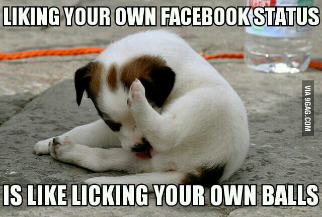 Some people like their own status everyday