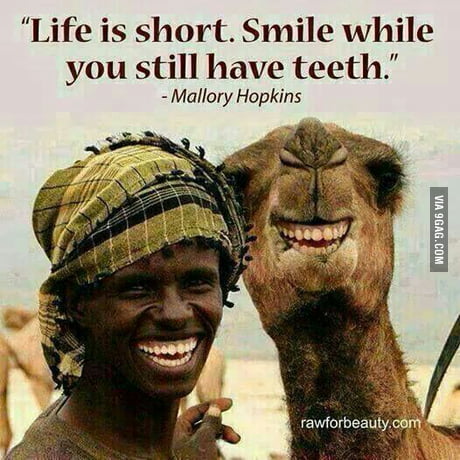 bande George Eliot mad Life is short. Smile while you still have teeth. - 9GAG