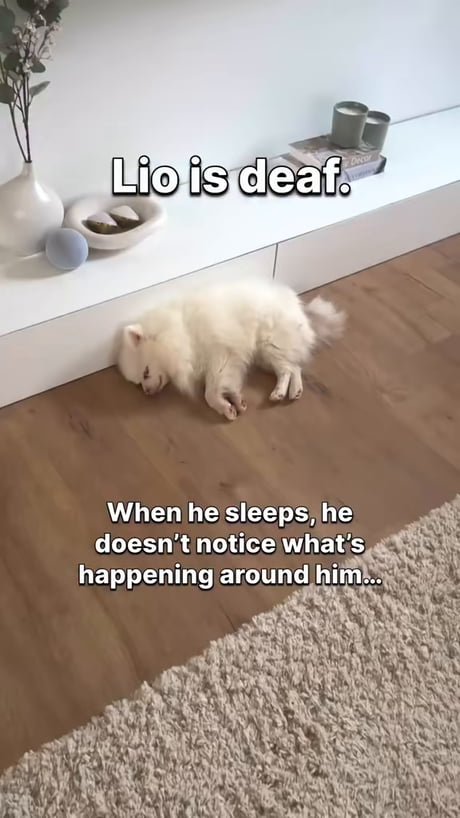 Level of empathy 1k%