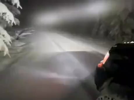 Get in the car bro