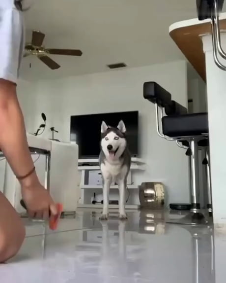 There's fooling Moon Moon