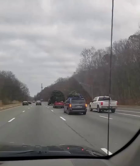 Maryland tag followed by a jersey tag. Where on or off 95 are they getting these humongous trees