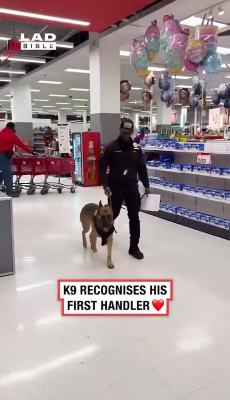 The only good cop for me is a good boi cop