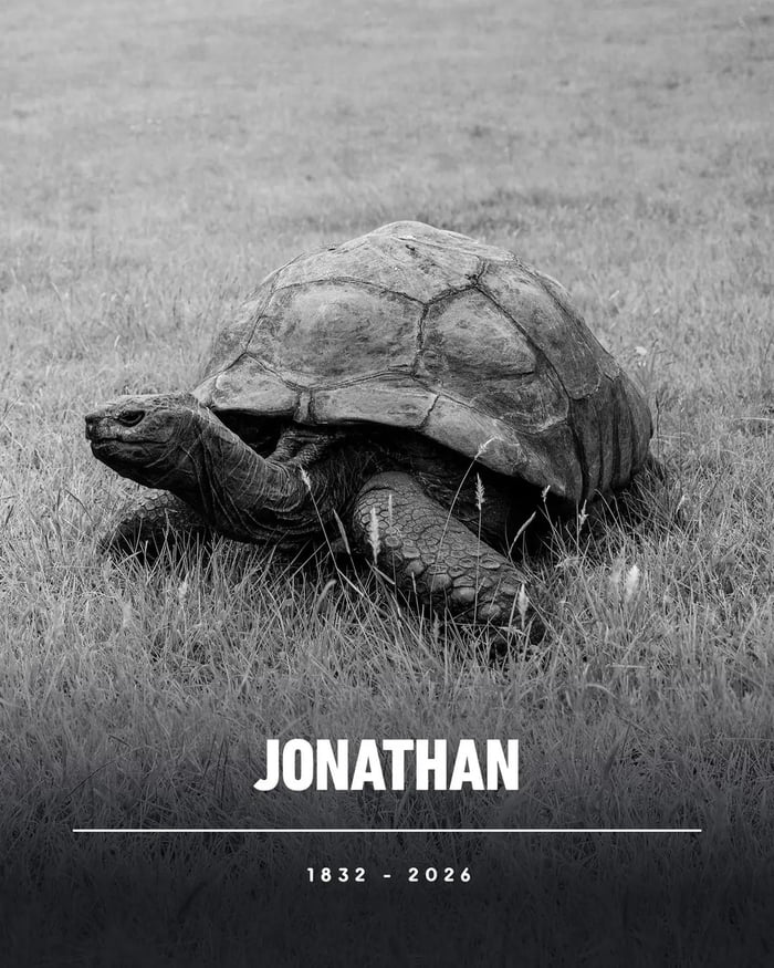 World's oldest known land animal, Jonathan the tortoise, dies at age 193.