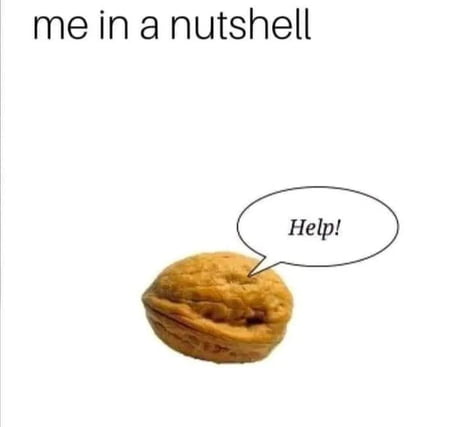 Random Nuts Best Funny nut Memes - 9GAG