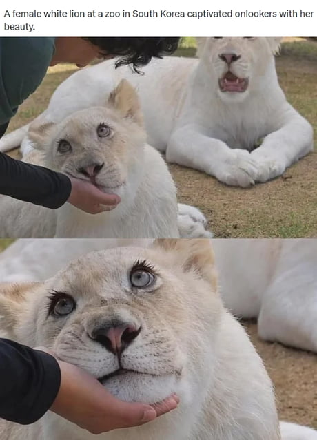 9GAG - Best Funny Memes and Breaking News