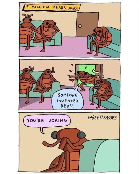 What did BedBugs use to do before beds were invented? 9GAG
