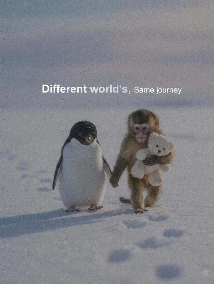 Be strong my friends