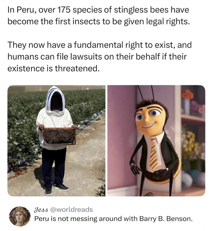 Peru taking bee rights seriously, Barry B Benson would be proud