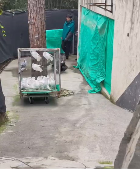 Me on my way to post some random BS on this wretched site