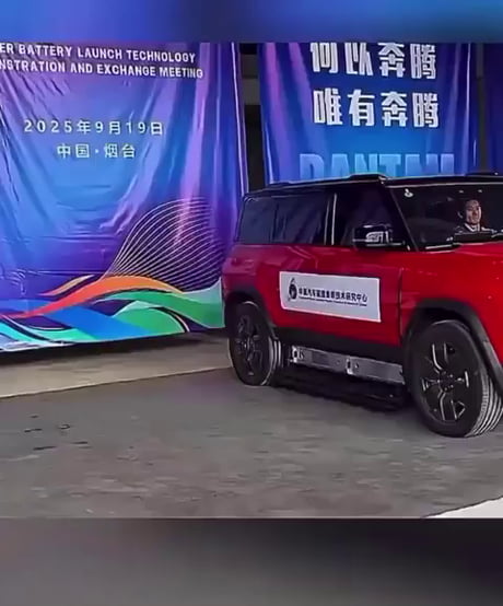 They rally 'round the family, with a pocket full of shells