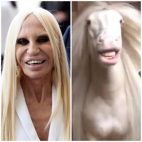 kern Ideaal heden Donatella Versace shocks the world sharing photos from her youth - 9GAG