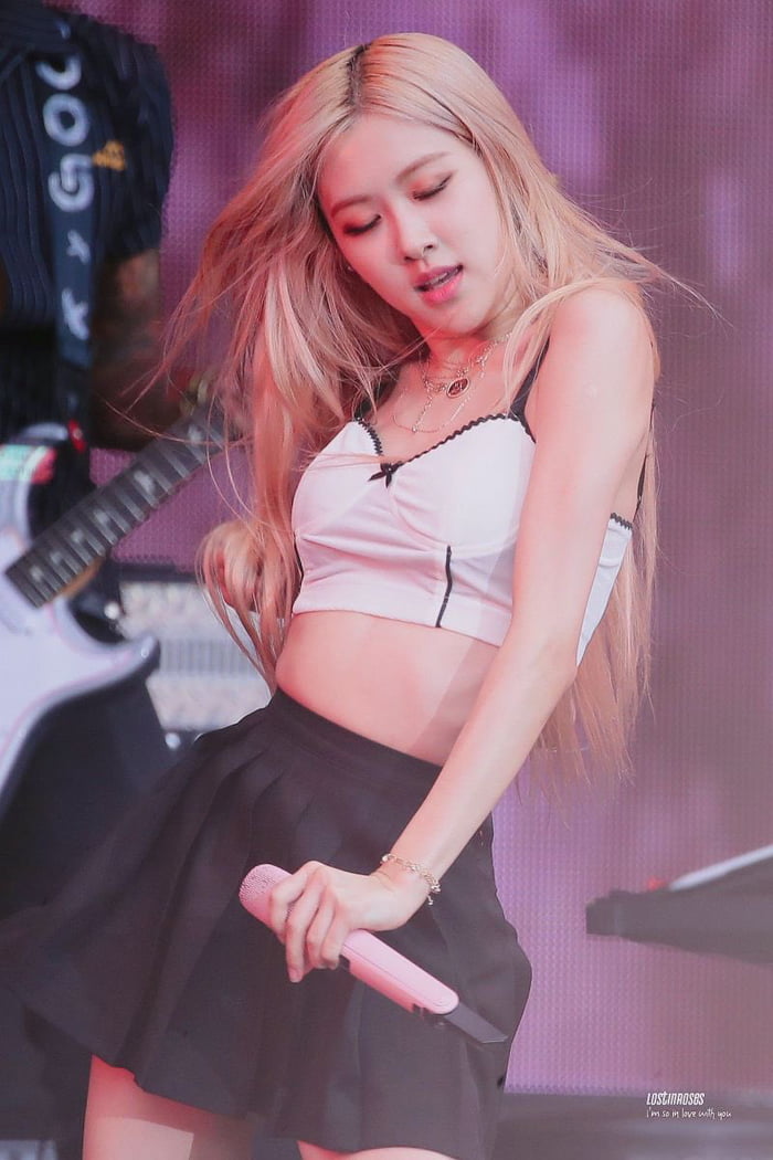 Photo : Rose