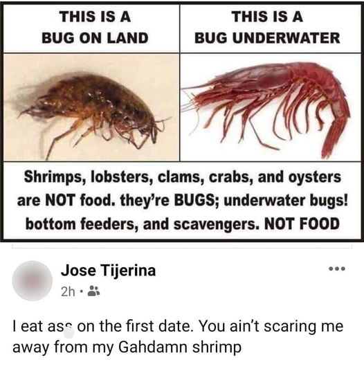 Lobster is yummy