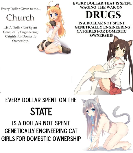 Every dollar spent fluoridating the water is another dollar not spent on  genetically enginyaring catgirls for domestic ownership - Imgur