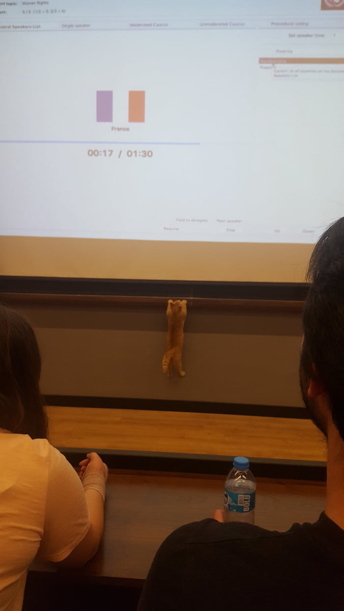 Our professor tried to reach the board again.