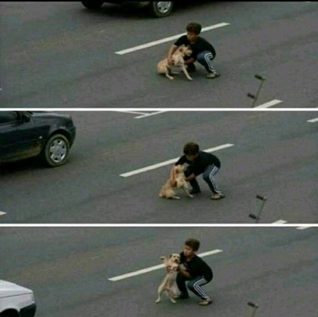 This 11 year old boy stopped traffic to save a dog that was hit by a car. - 9GAG