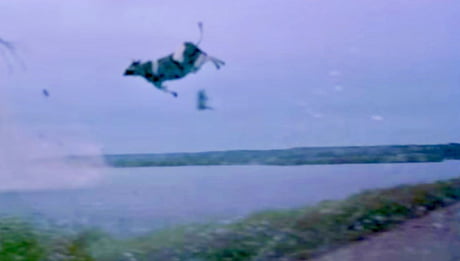 Twister Movie Flying Cow