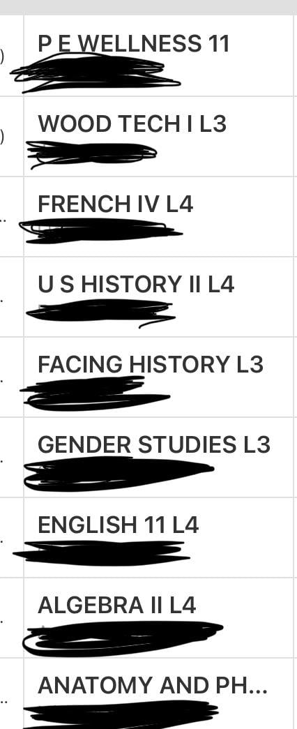 Updated schedule, will all the L4 (honors) classes be too much