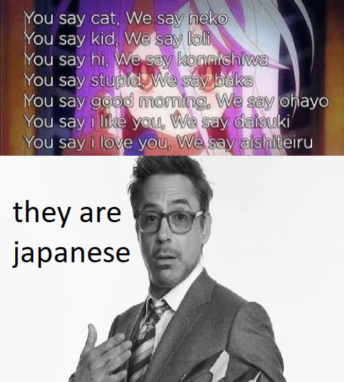 they-sure-are-japanese-9gag