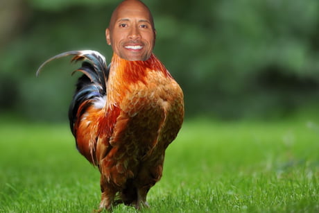 Dwayne the cock johnson