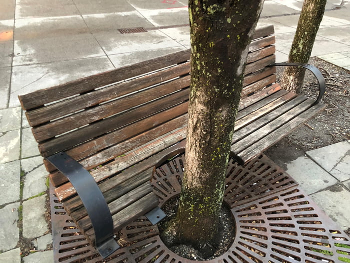 This bench