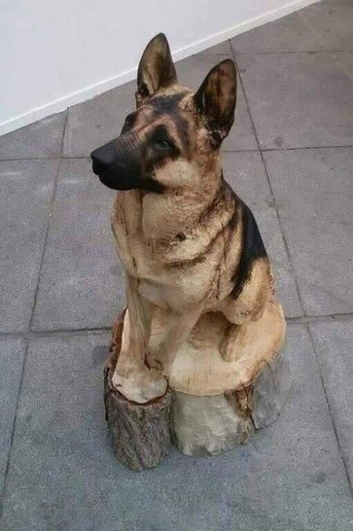 Good Bo- Wait...