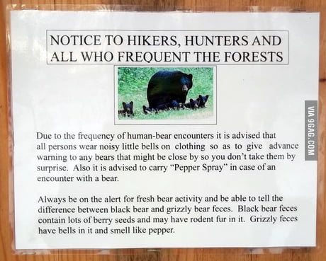 hiking in bear country