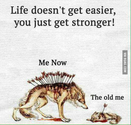Life Doesn T Get Easier You Just Get Stronger 9gag