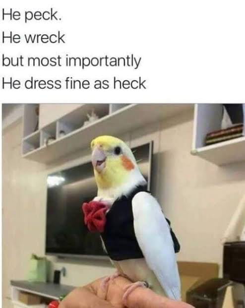 He dress fine as heck ..