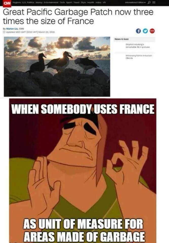 Paris is to France what a turd is to an ass