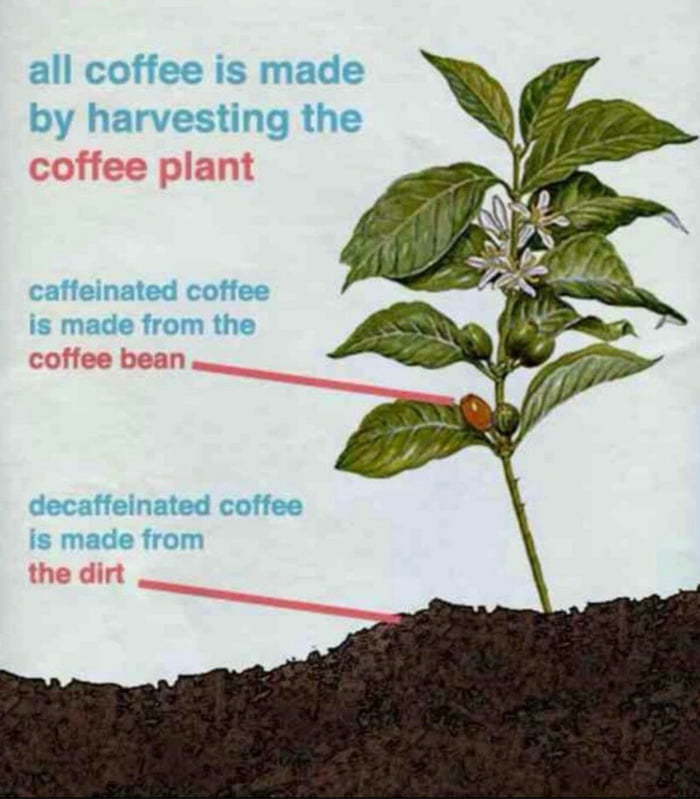 the-difference-between-regular-and-decaf-coffee-9gag
