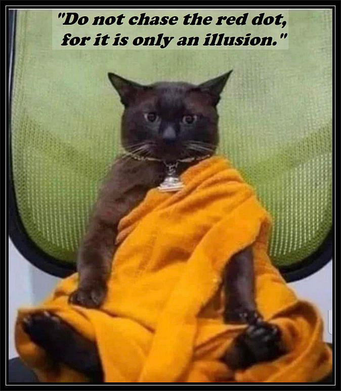 Bestow wisdom upon us, old wise one 9GAG