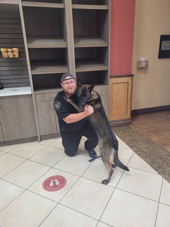 First day on the job! fanta the gun sniffing dog is done with school