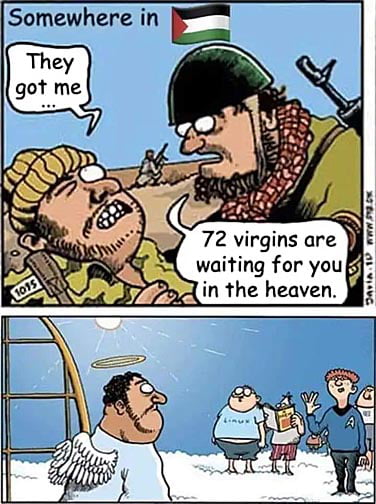 avQqAnb_460s.jpg