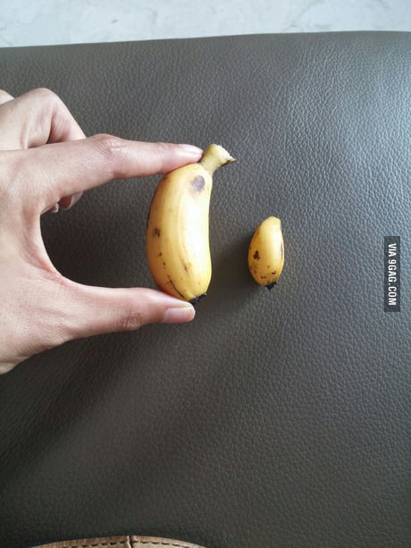 Mini boobs, mini banana for scale! - 9GAG
