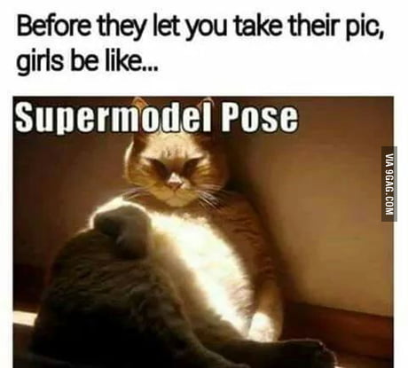 Cute Pose - 9GAG