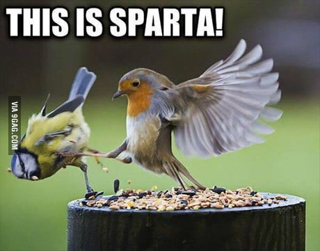 This is Sparta - 9GAG