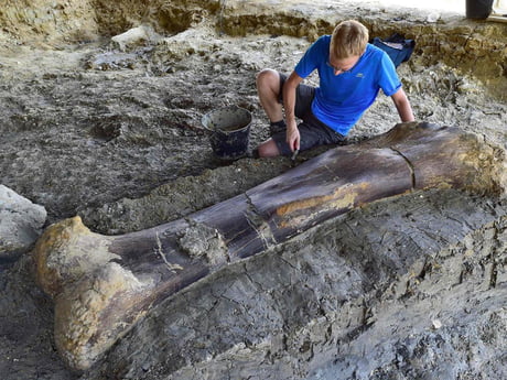 140 million year old, 500kg dinosaur femur discovered in France