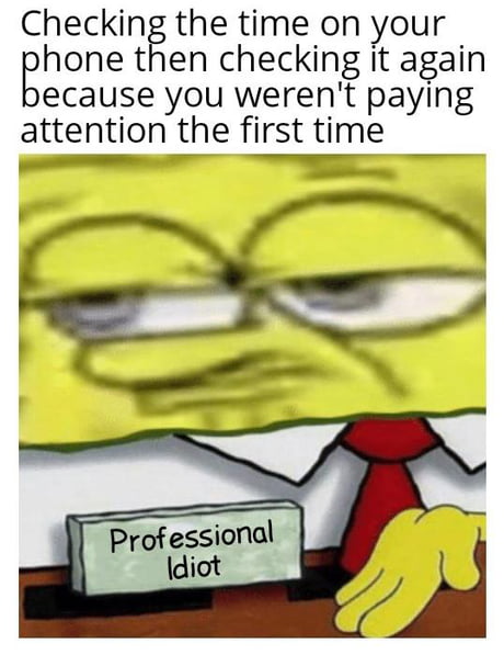 Professional Scatterbrain
