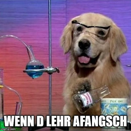 Download Zu dumm fuer alles Free Zu Dumm Fuer Alles