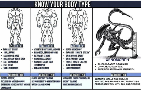 Difference between long torso vs long legs - 9GAG