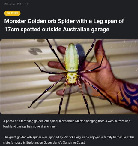 Best Funny spider Memes - 9GAG