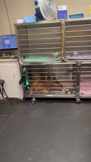 His friends won't believe him