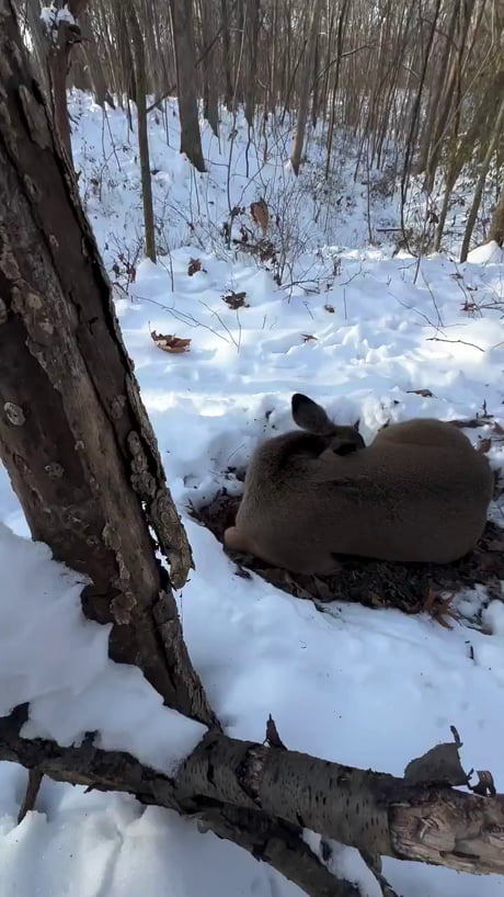 Bro took 6 business days to react