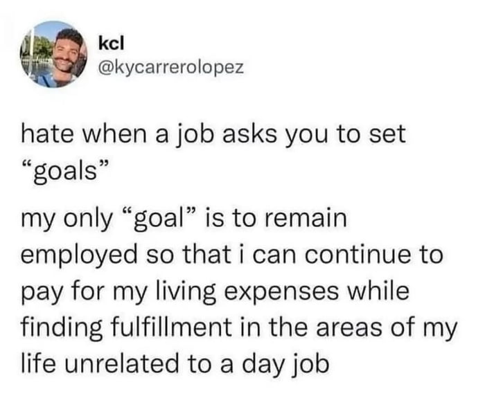 This is my entire career plan in a nutshell