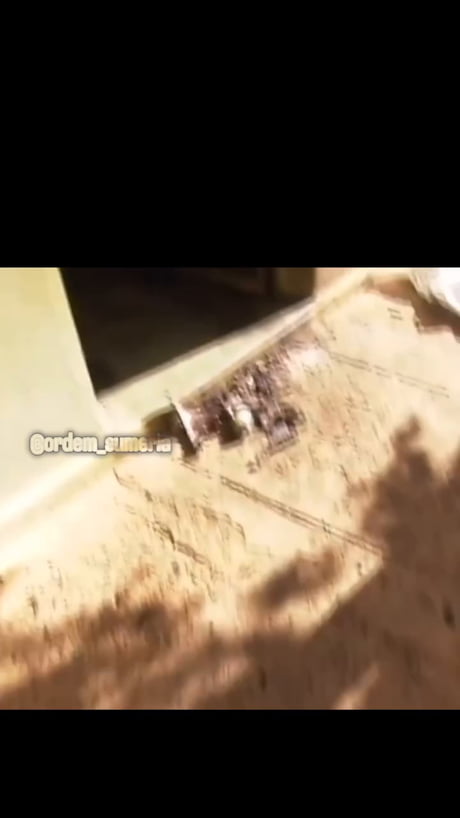 People who deserve to be famous.