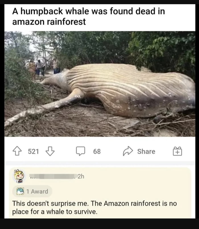 I wonder what killed it