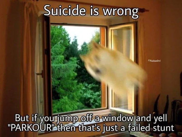 Also day kurwa then Dolphin dive